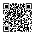 To view this 2017 Nissan Rogue Portsmouth VA from Earl's Credit Auto Sales | Bad Credit Car Loan Specialists, please scan this QR code with your smartphone or tablet to view the mobile version of this page.