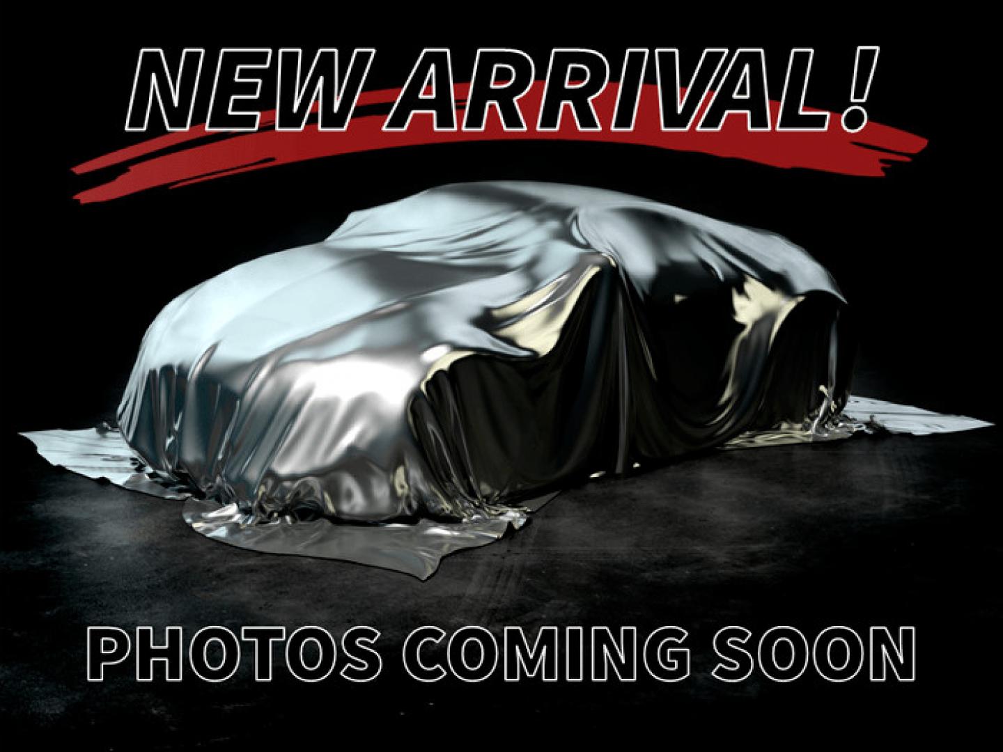 2003 Gold Ford Expedition XLT Popular 4.6L 2WD (1FMRU15W03L) with an 4.6L V8 SOHC 16V engine, 4-Speed Automatic Overdrive transmission, located at 2553 Airline Blvd, Portsmouth, VA, 23701, (757) 488-8331, 36.813889, -76.357597 - ***VEHICLE TERMS*** Down Payment: $623 Weekly Payment: $75 APR: 23.9% Repayment Terms: 36 Months Extended Warranty Available. *** BE SURE TO SUBMIT YOUR $100 OFF DOWN PAYMENT COUPON VIA THE HOMEPAGE OF THE SITE, CALL ELIZABETH SMITH - DIRECTOR OF MARKETING @ 757-488-8331 TO SCHEDULE YOUR A - Photo#0