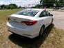 2016 White Hyundai Sonata SE (5NPE24AF1GH) with an 2.4L L4 DOHC 16V engine, 7A transmission, located at 2553 Airline Blvd, Portsmouth, VA, 23701, (757) 488-8331, 36.813889, -76.357597 - Photo#5