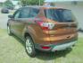 2017 Orange Ford Escape SE 4WD (1FMCU9G93HU) with an 2.0L L4 DOHC 16V engine, 6A transmission, located at 2553 Airline Blvd, Portsmouth, VA, 23701, (757) 488-8331, 36.813889, -76.357597 - ***VEHICLE TERMS*** Down Payment: $999 Weekly Payment: $115 APR: 23.9% Repayment Terms: 42 Months *** CALL ELIZABETH SMITH - DIRECTOR OF MARKETING @ 757-488-8331 TO SCHEDULE YOUR APPOINTMENT TODAY AND GET PRE-APPROVED RIGHT OVER THE PHONE***- Photo#7